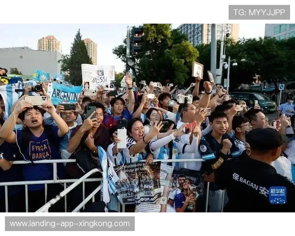 国家队在数据解析方面引发关注