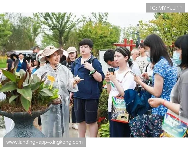 南非再创纪录，团队表现完美，南非zef